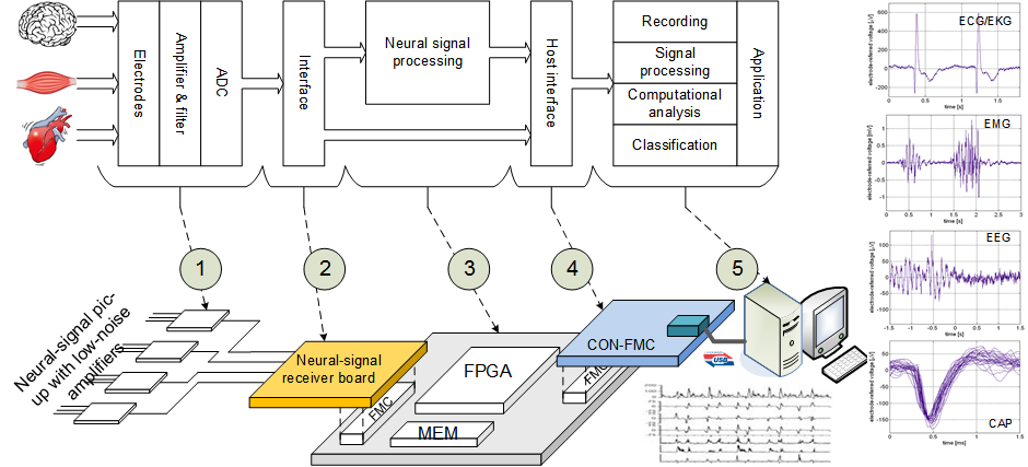 NeuralFMC system structure